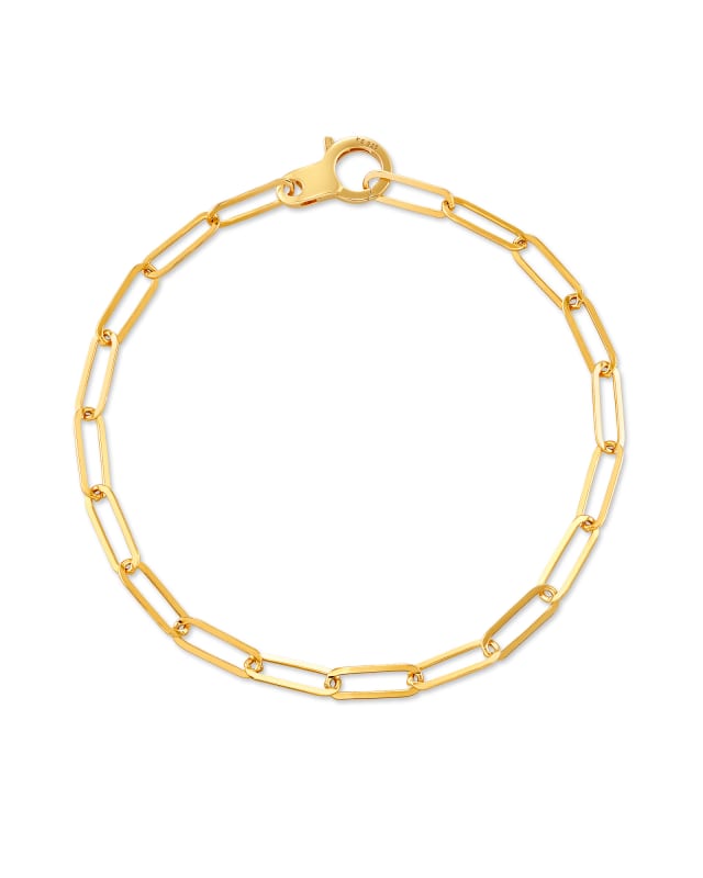 Large Paperclip Chain Bracelet in 18k Gold Vermeil image number 0.0